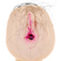 Jamie Lynn Vibrating Love Doll